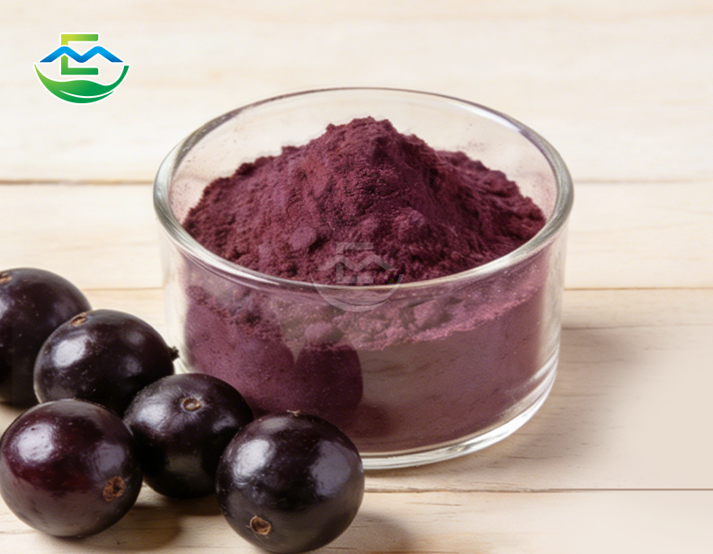 Acai Berry Extract